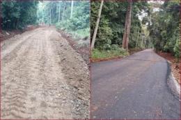 Karura Forest Takeover: Is This the End of Nairobi’s Green Haven?